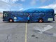 Whale Bus 2020