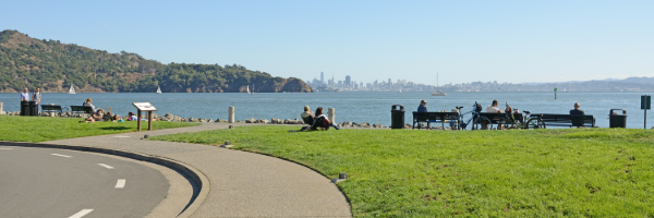 Tiburon_Shoreline